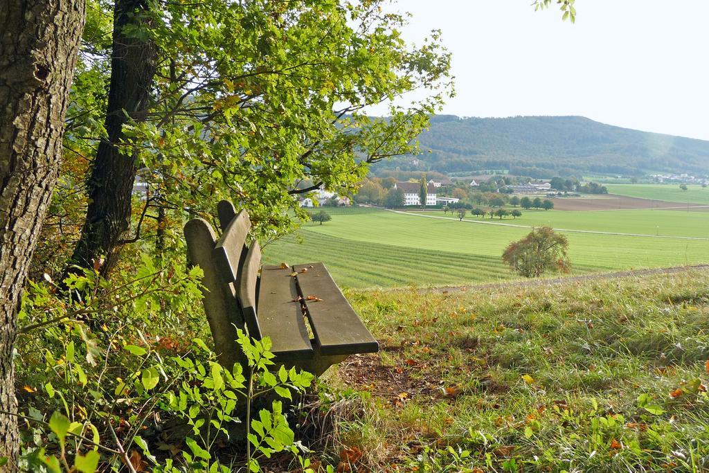 Klosterhotel Kreuz Mariastein Buitenkant foto